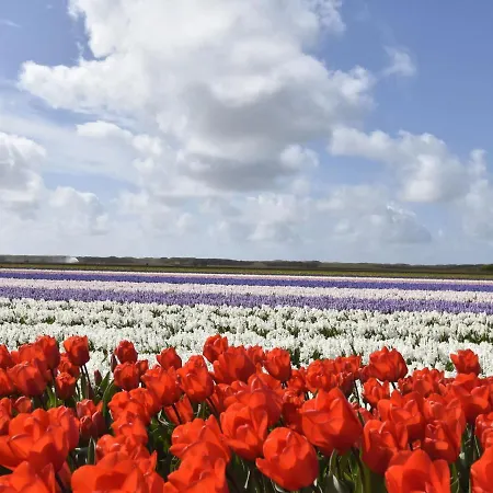 Beautiful In Near Seabeach Vakantiehuis Sint Maartensbrug